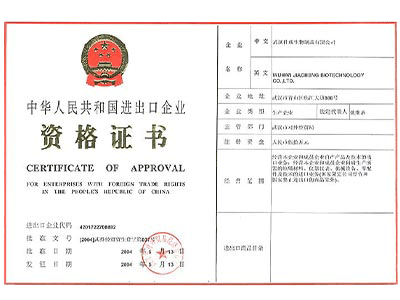 進出口權辦理