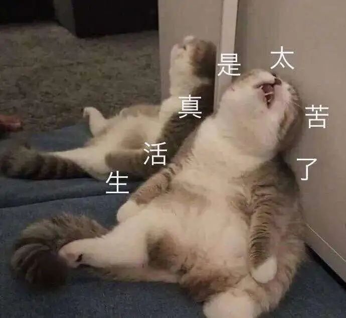 微信圖片_20220610162255.jpg